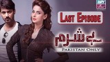 Besharam – Last Episode – 5th January 2017