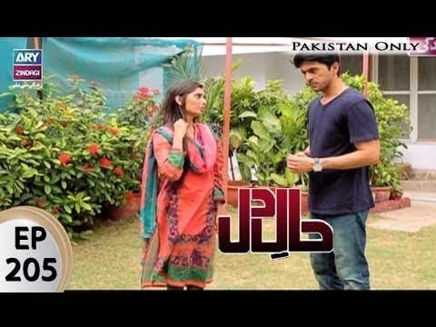 Haal-e-Dil – Episode 205 – 5th September 2017
