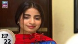Mubarak Ho Beti Hoi Hai – Episode 22 – 2nd January 2017