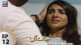 Tumhare Hain – Episode 12 – 2nd March 2018