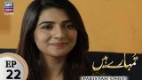 Tumhare Hain – Episode 22 – 16th March 2018