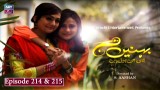 Behnain Aisi Bhi Hoti Hain Episode 214 & 215 | ARY Zindagi Drama