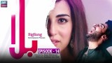 Balaa | Episode 14 | Bilal Abbas Ushna Shah | ARY Zindagi