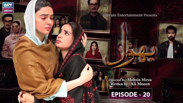 Bhool | Episode 20 | Saheefa Jabbar Khattak – Affan Waheed | ARY Zindagi