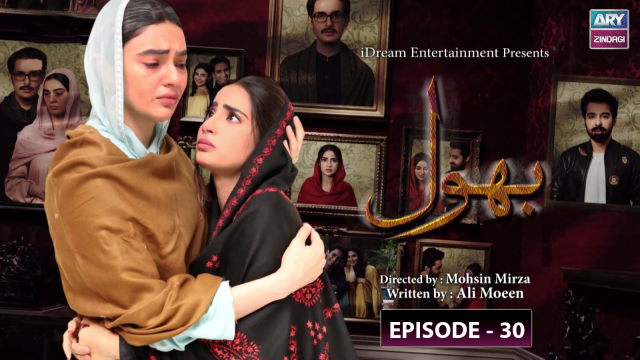 Bhool | Episode 30 | Saheefa Jabbar Khattak – Affan Waheed