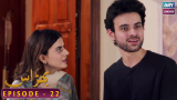 Bharaas Episode 22 – Dur-e-Fishan – Omer Shahzad