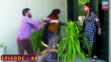 Nand – Episode 64 – Shehroz Sabzwari – Minal Khan
