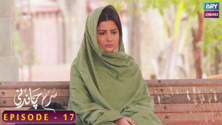 Surkh Chandni | Episode 17 | Sohai Ali Abro | Osman Khalid Butt
