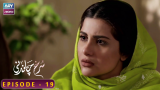 Surkh Chandni | Episode 19 | Sohai Ali Abro | Osman Khalid Butt
