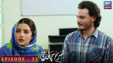 Surkh Chandni | Episode 22 | Sohai Ali Abro | Osman Khalid Butt