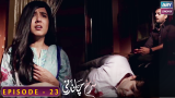 Surkh Chandni | Episode 23 | Sohai Ali Abro | Osman Khalid Butt