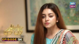 Mera Dil Mera Dushman Episode 54