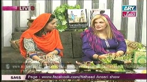 Naheed Ansari Show