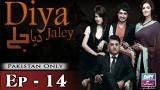 Diya Jalay – Episode 14 – 14th February 2017