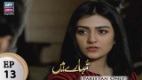 Tumhare Hain – Episode 13 – 5th March 2018