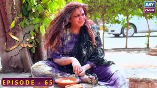 Nand – Episode 65 – Shehroz Sabzwari – Minal Khan