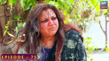 Nand – Episode 75 – Shehroz Sabzwari – Minal Khan