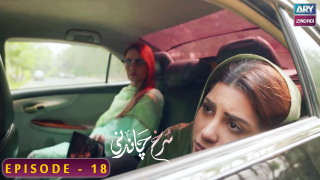 Surkh Chandni | Episode 18 | Sohai Ali Abro | Osman Khalid Butt