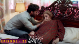 Surkh Chandni | Episode 25 | Sohai Ali Abro | Osman Khalid Butt