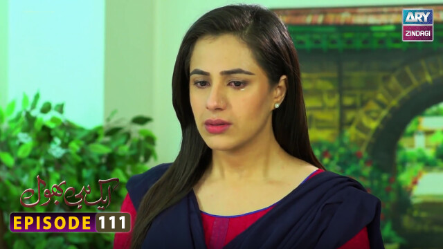 Aik hi bhool Episode 111